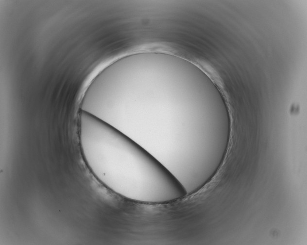 X0000089940816200707271817