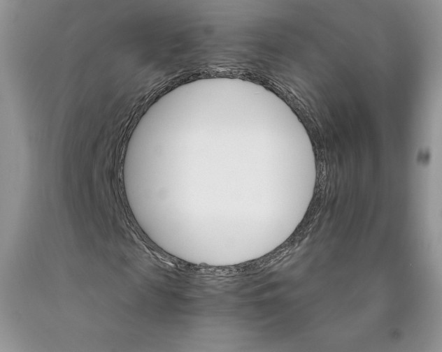 X0000089940817200707271816