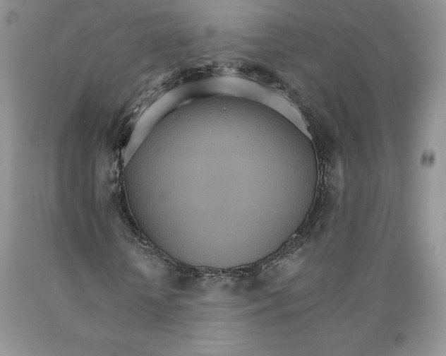X0000089940818200707271816