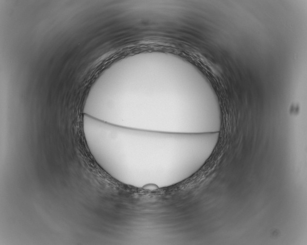 X0000089940821200707271816
