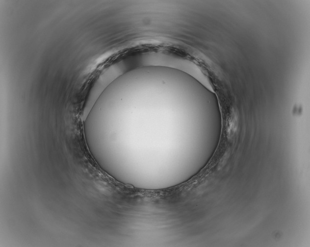 X0000089940822200707271816