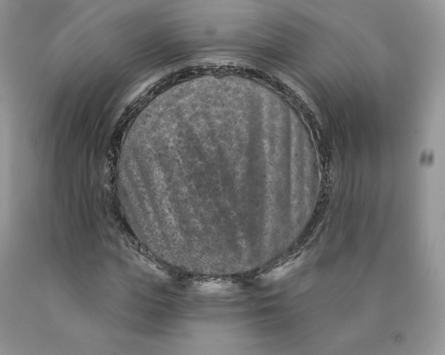 X0000089940823200707271816