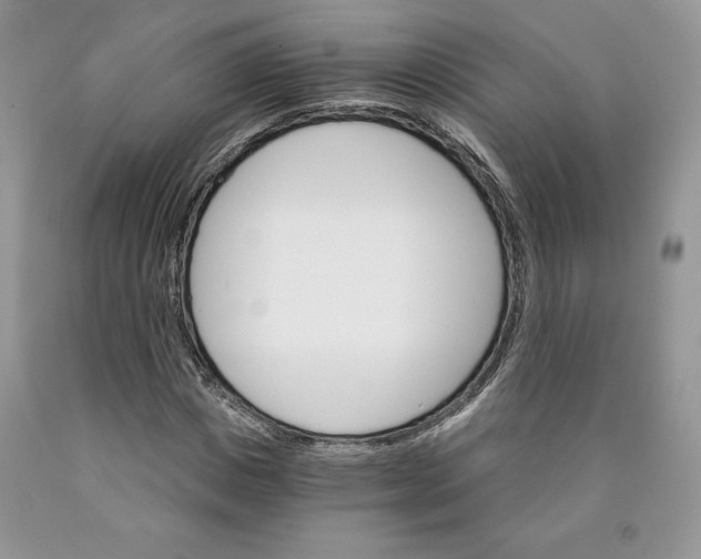 X0000089940825200707271816