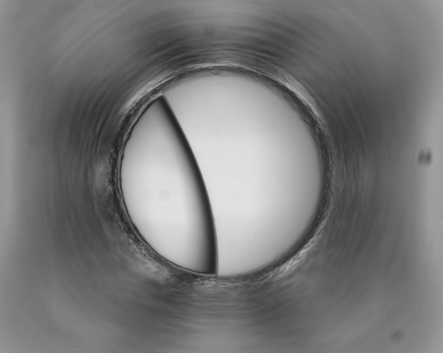 X0000089940826200707271816