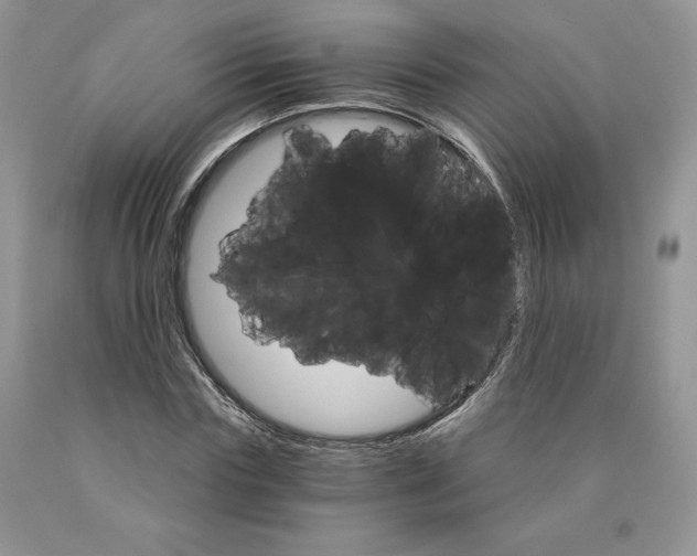 X0000089940827200707271816