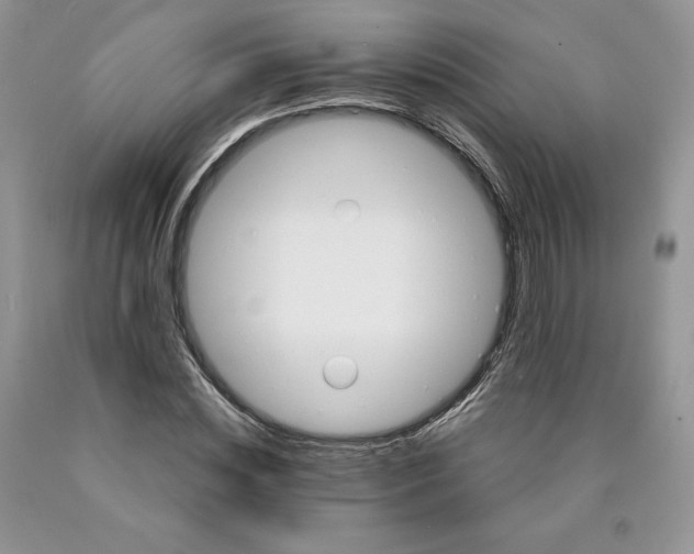 X0000089940828200707271816