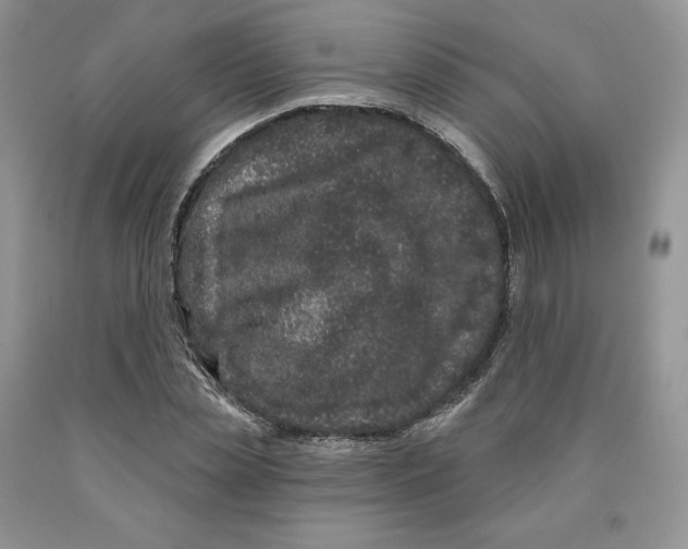 X0000089940829200707271816