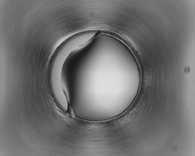 X0000089940830200707271816