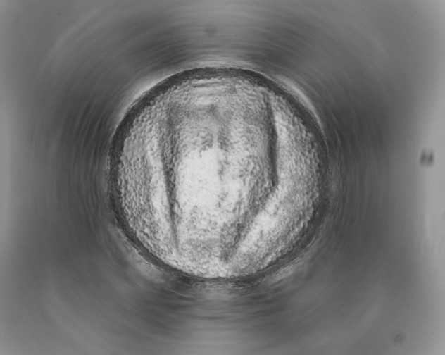 X0000089940831200707271816