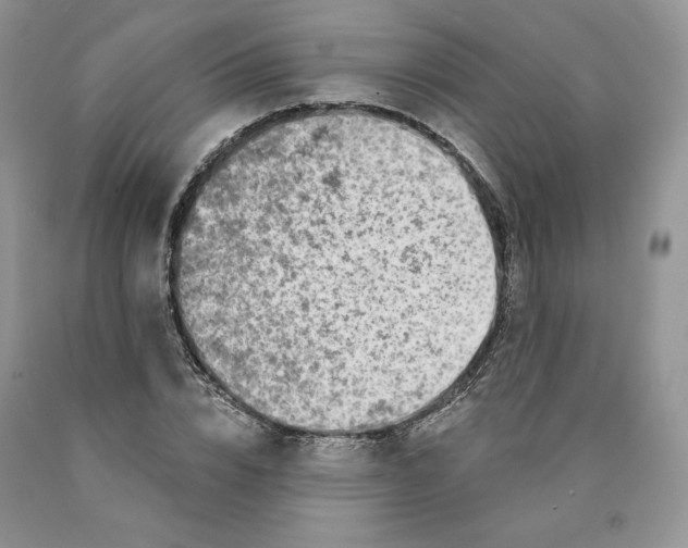 X0000089940832200707271816