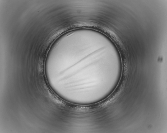 X0000089940833200707271816