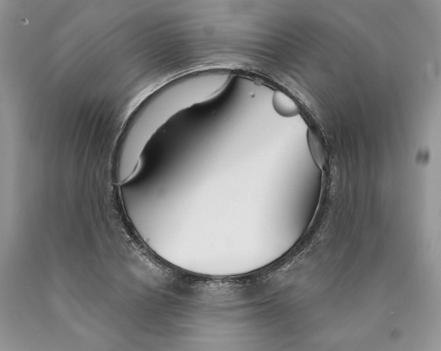 X0000089940834200707271816