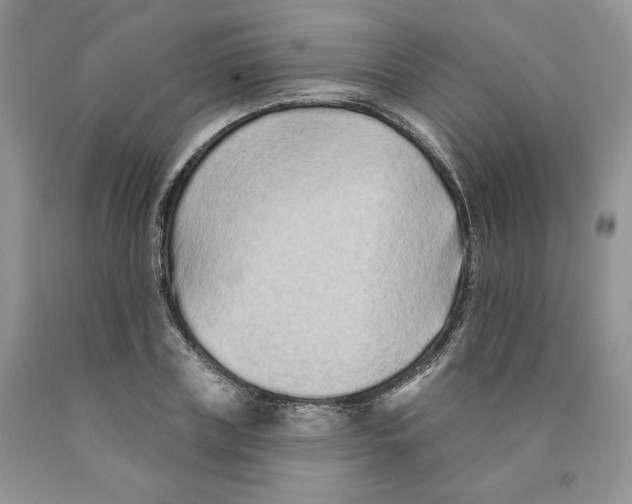 X0000089940835200707271816