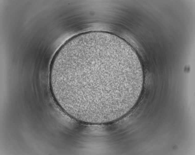 X0000089940836200707271816
