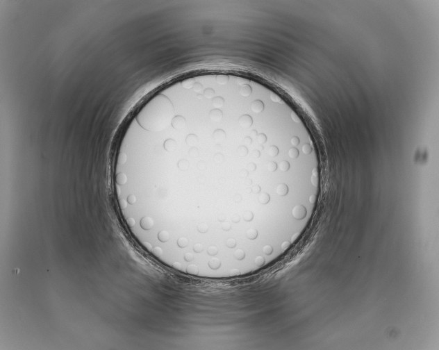X0000089940837200707271817