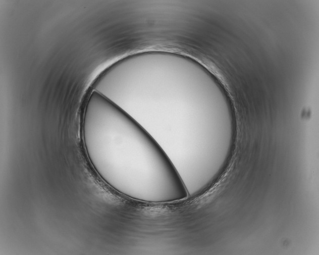 X0000089940838200707271817