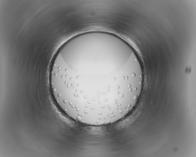 X0000089940839200707271817