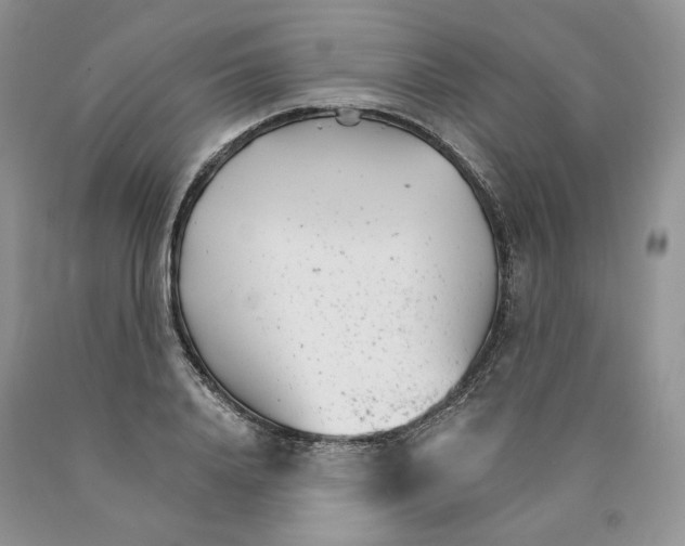 X0000089940840200707271817