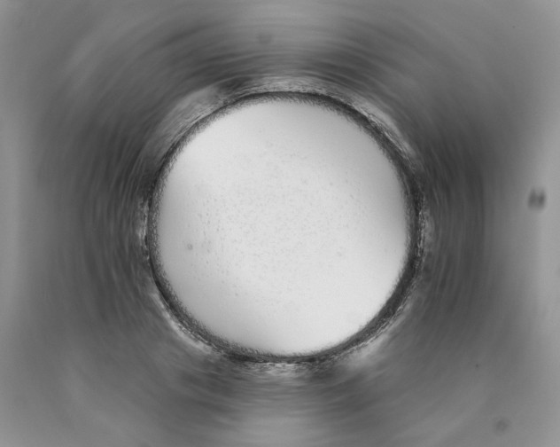 X0000089940841200707271817