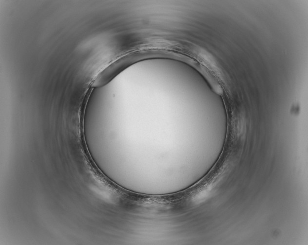 X0000089940842200707271817