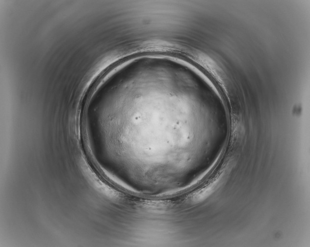 X0000089940843200707271817