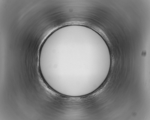 X0000089940844200707271817