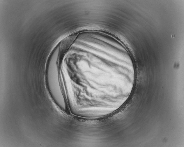 X0000089940845200707271817