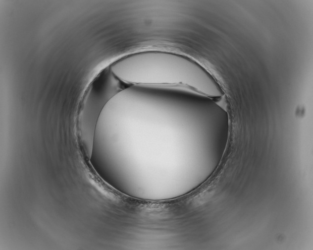 X0000089940846200707271817