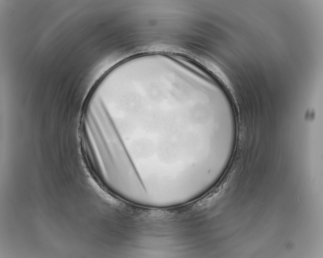 X0000089940847200707271817