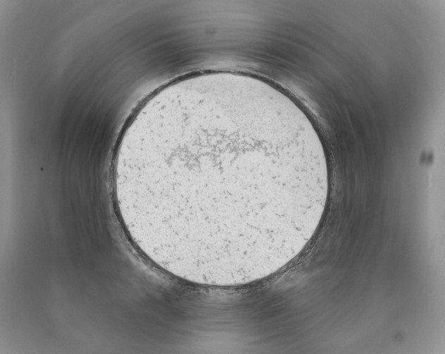 X0000089940848200707271817