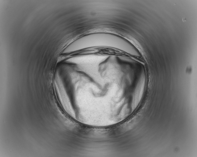 X0000089940849200707271817