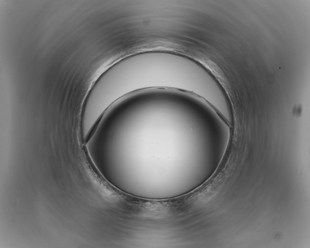 X0000089940850200707271817
