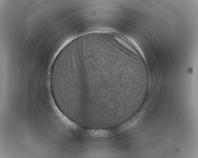 X0000089940851200707271817