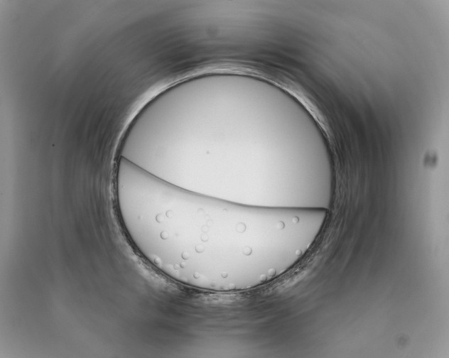 X0000089940853200707271817