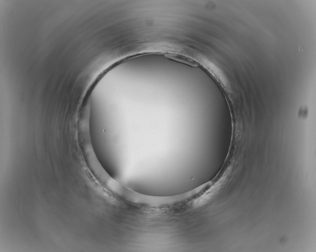 X0000089940854200707271817