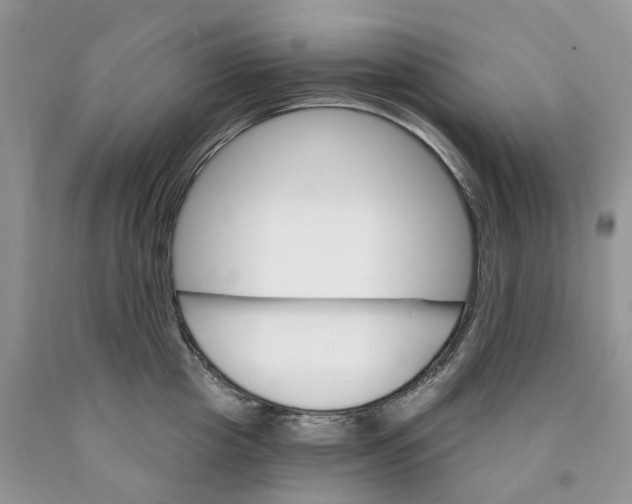 X0000089940857200707271817