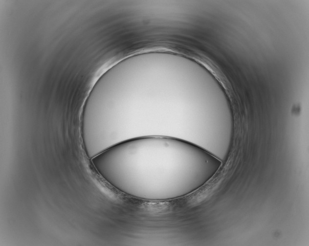 X0000089940858200707271817