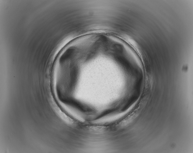 X0000089940859200707271817