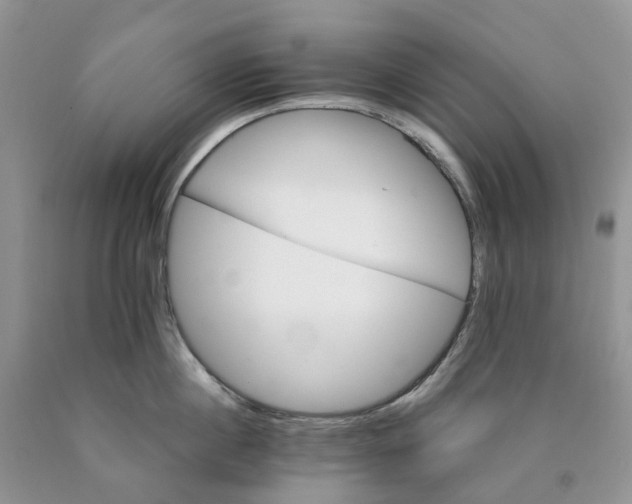 X0000089940860200707271817