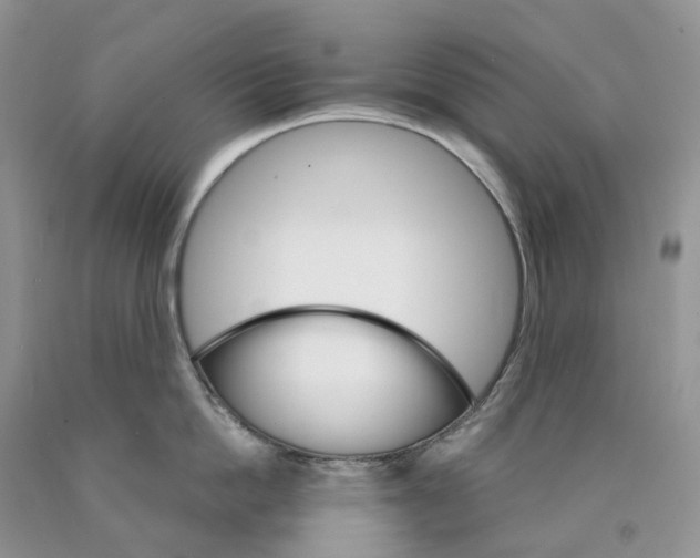 X0000089940862200707271817