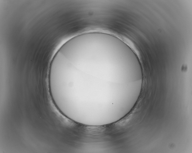 X0000089940863200707271817