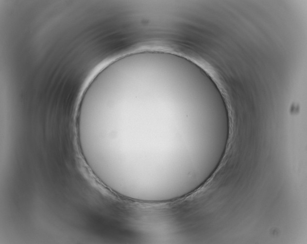 X0000089940864200707271817
