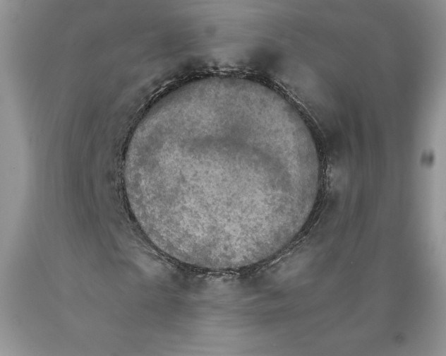 X0000089940865200707271816