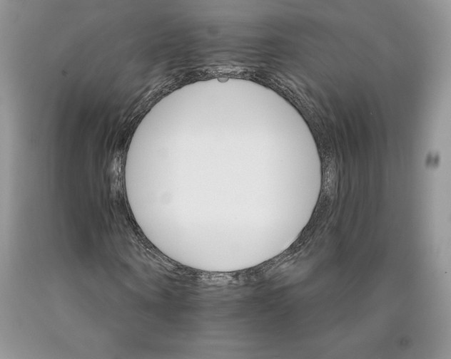 X0000089940866200707271816