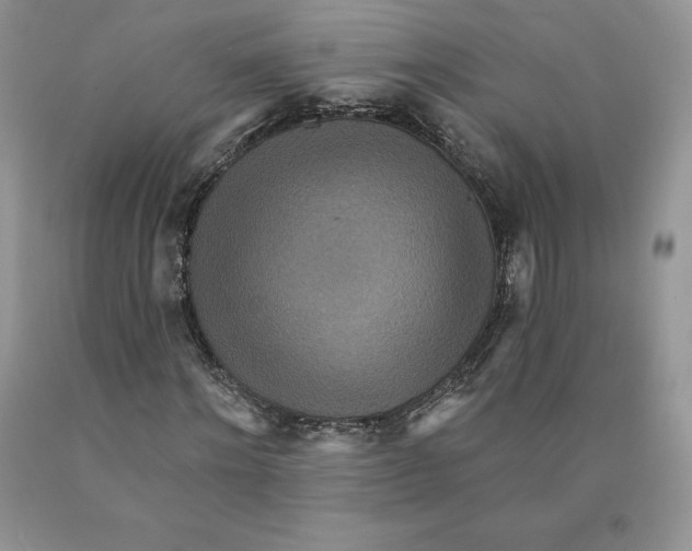 X0000089940868200707271816