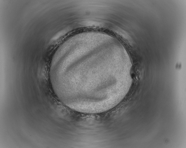 X0000089940869200707271816