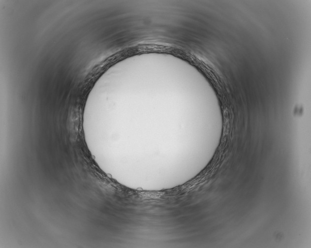 X0000089940870200707271816