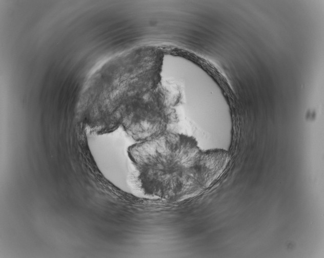 X0000089940871200707271816