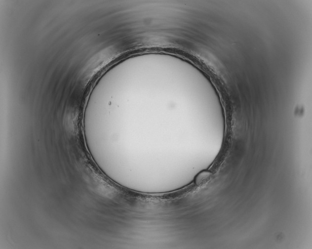 X0000089940873200707271816