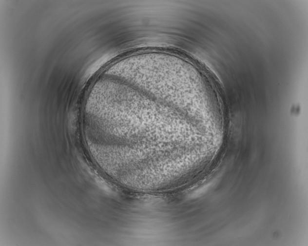 X0000089940874200707271816
